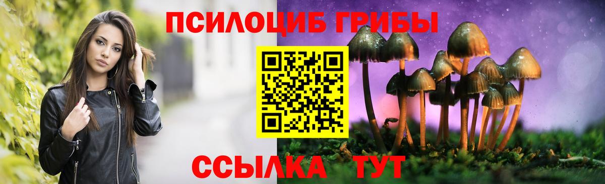 Псилоцибиновые грибы MAGIC MUSHROOMS  Псилоцибиновые грибы прущие грибы  Вход с VPN  Томск 